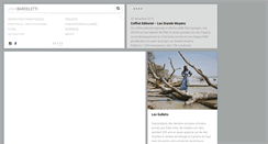 Desktop Screenshot of joanbardeletti.com